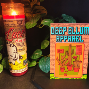 three cactuses of different shapes with flowers